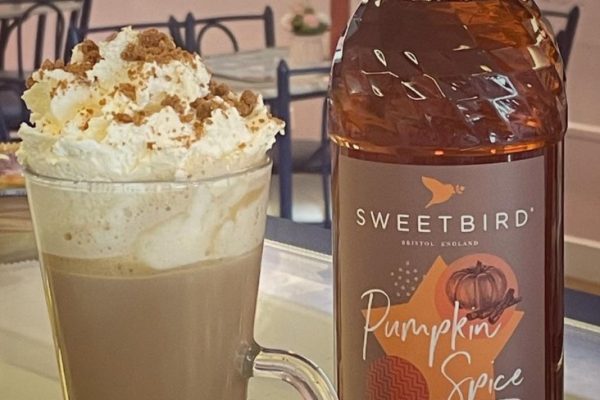 Pumpkin spice latte at Lewis's Ice Cream Cafe & Coffee Shop